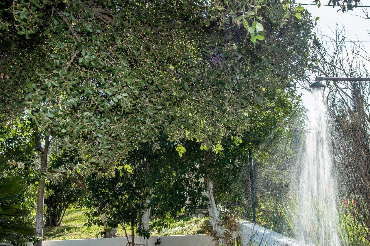 Villa Aelia - A Peaceful And Private Place Аргостолион Екстериор снимка